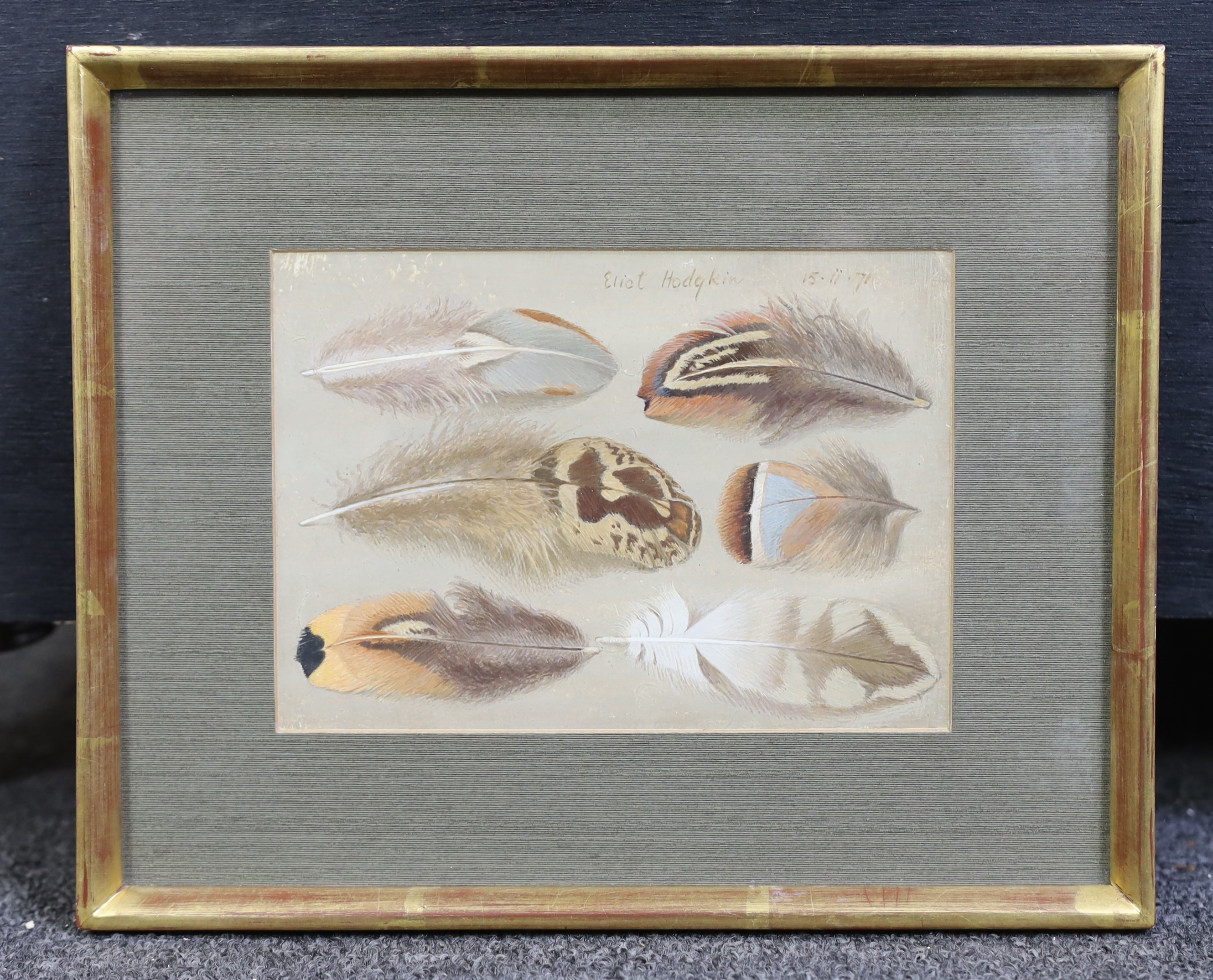 Eliot Hodgkin (English, 1905-1987), Six Feathers, tempera on card, 10.75 x 15.25cm